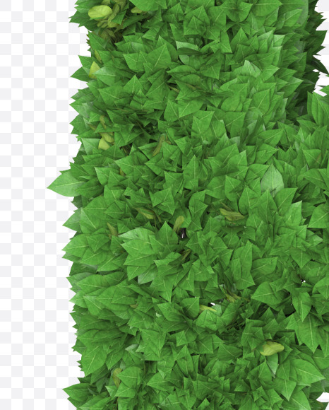 Letter K from Boxwood leaves font on Yellow Images Creative Fonts - S71756