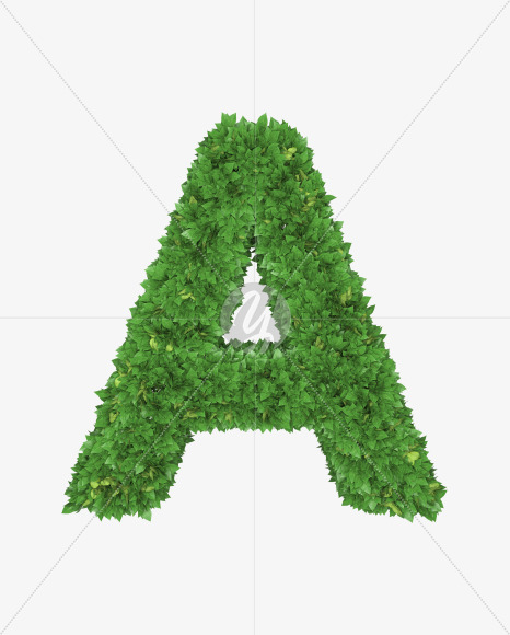 Letter A from Boxwood leaves font on Yellow Images Creative Fonts - S71746