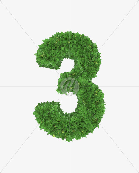 3 from Boxwood leaves font on Yellow Images Creative Fonts - S71912