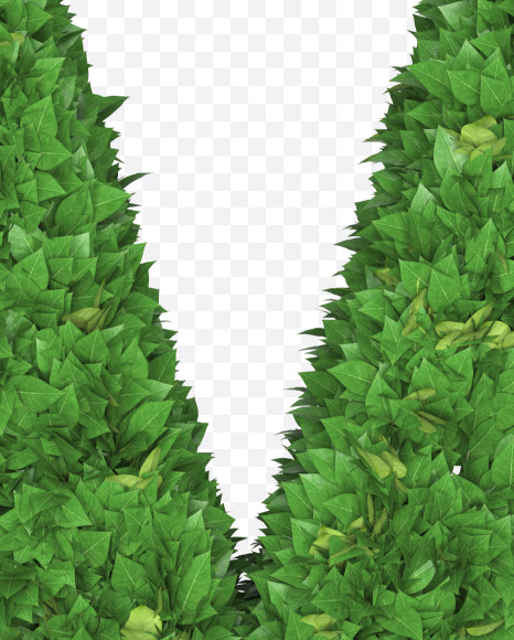 Letter V from Boxwood leaves font on Yellow Images Creative Fonts - S71767