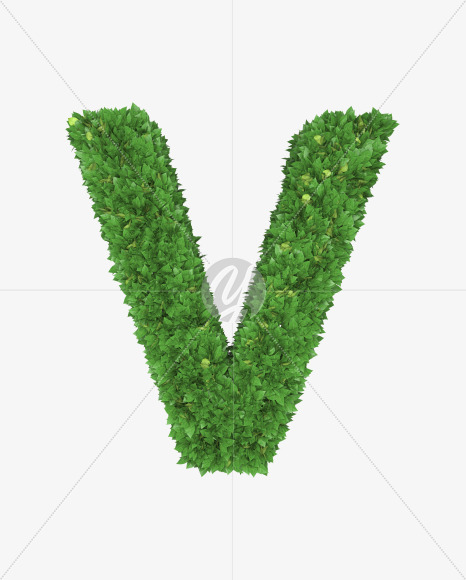 Letter V from Boxwood leaves font on Yellow Images Creative Fonts - S71767