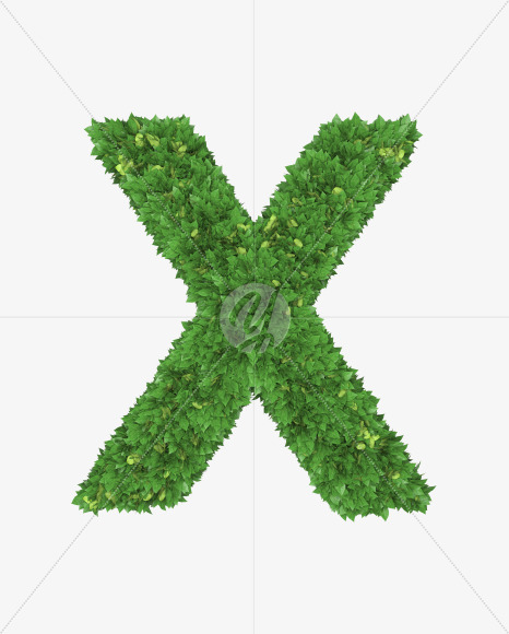 Letter X from Boxwood leaves font on Yellow Images Creative Fonts - S71769