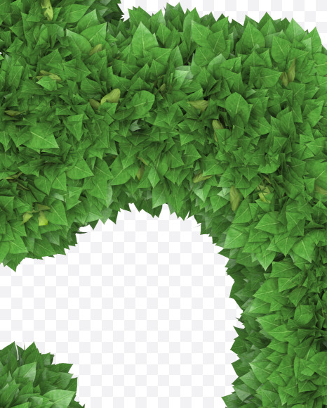5 from Boxwood leaves font on Yellow Images Creative Fonts - S71914
