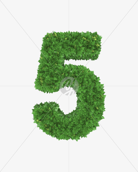 5 from Boxwood leaves font on Yellow Images Creative Fonts - S71914