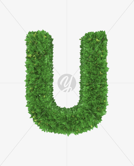 Letter U from Boxwood leaves font on Yellow Images Creative Fonts - S71766