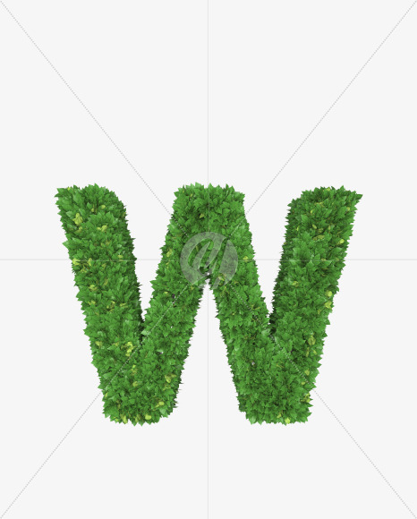 Letter W from Boxwood leaves font on Yellow Images Creative Fonts - S71768