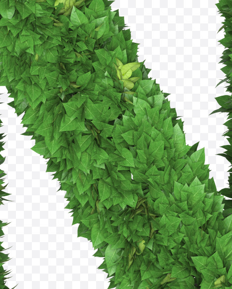 Letter N from Boxwood leaves font on Yellow Images Creative Fonts - S71759