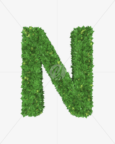 Letter N from Boxwood leaves font on Yellow Images Creative Fonts - S71759