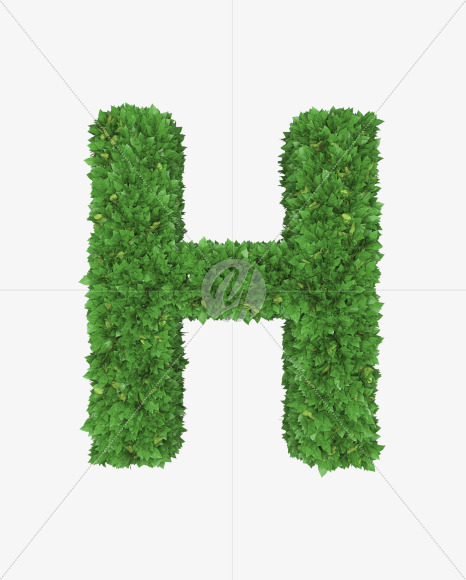 Letter H from Boxwood leaves font on Yellow Images Creative Fonts - S71753