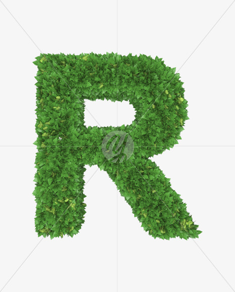 Letter R from Boxwood leaves font on Yellow Images Creative Fonts - S71763