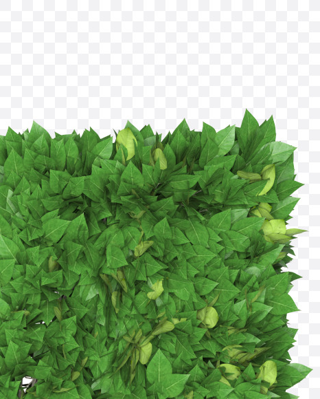 Letter M from Boxwood leaves font on Yellow Images Creative Fonts - S71758