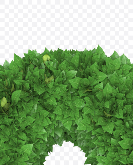 0 from Boxwood leaves font on Yellow Images Creative Fonts - S71909