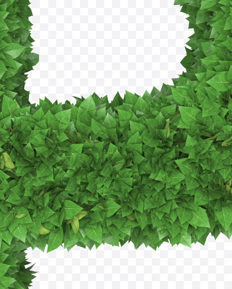 Letter P from Boxwood leaves font on Yellow Images Creative Fonts - S71761