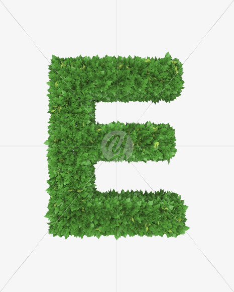 Letter E from Boxwood leaves font on Yellow Images Creative Fonts - S71750