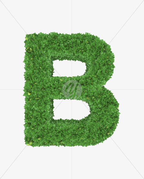 Letter B from Boxwood leaves font on Yellow Images Creative Fonts - S71747