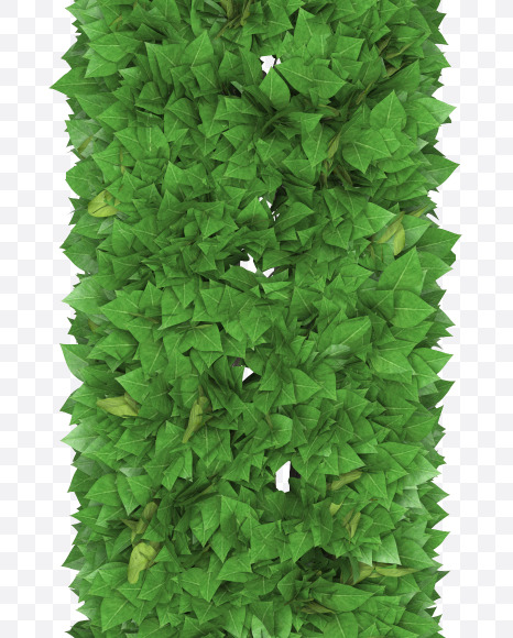 Letter I from Boxwood leaves font on Yellow Images Creative Fonts - S71754