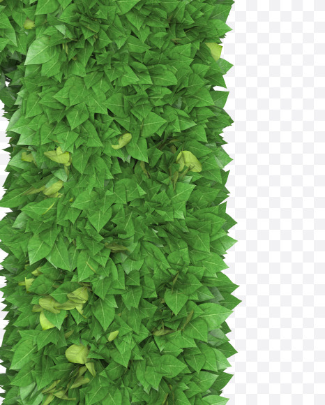 1 from Boxwood leaves font on Yellow Images Creative Fonts - S71910