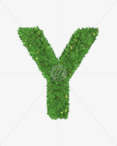 Letter Y from Boxwood leaves font on Yellow Images Creative Fonts - S71770