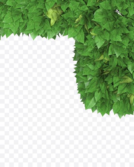 4 from Boxwood leaves font on Yellow Images Creative Fonts - S71913
