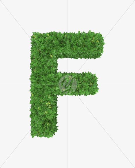 Letter F from Boxwood leaves font on Yellow Images Creative Fonts - S71751