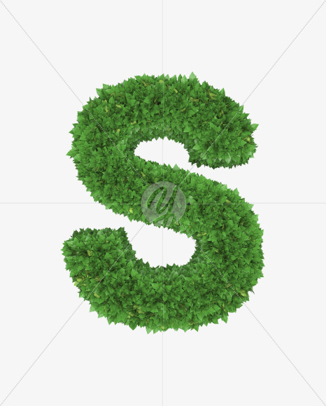 Letter S from Boxwood leaves font on Yellow Images Creative Fonts - S71764