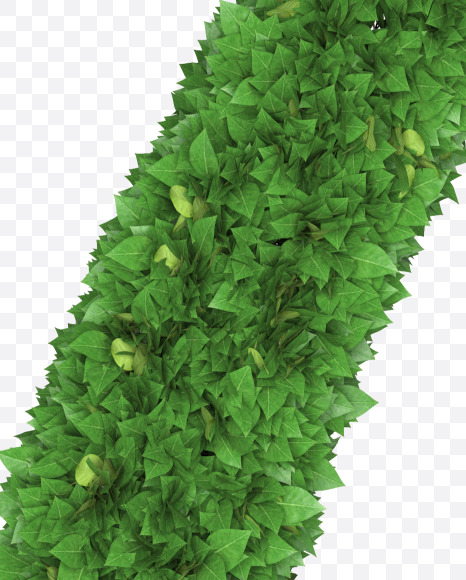 7 from Boxwood leaves font on Yellow Images Creative Fonts - S71916