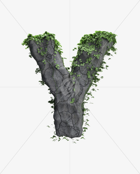 Y