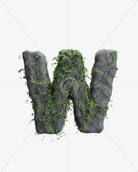 Letter W from Ivy font on Yellow Images Creative Fonts - S73398