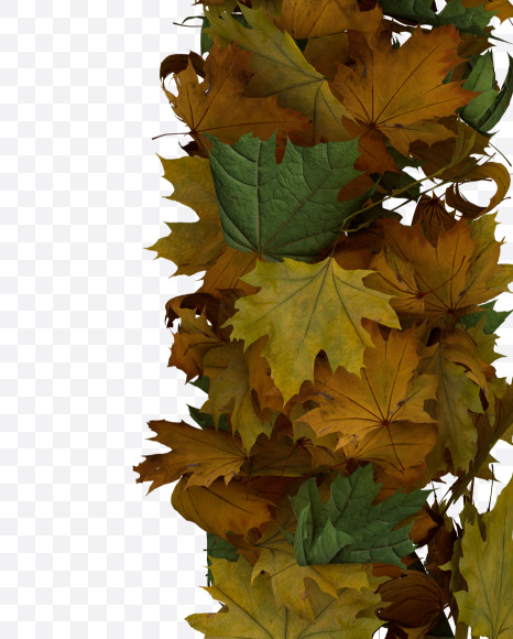 Letter U from Text Made Out Of Autumn Leafe Typeface on Yellow Images Creative Fonts - S73519