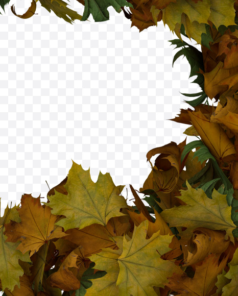 3 from Text Made Out Of Autumn Leafe Typeface on Yellow Images Creative Fonts - S73531