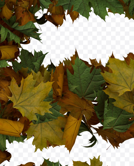 Euro from Text Made Out Of Autumn Leafe Typeface on Yellow Images Creative Fonts - S73498