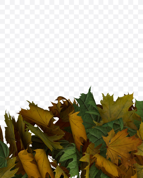 Letter C from Text Made Out Of Autumn Leafe Typeface on Yellow Images Creative Fonts - S73495