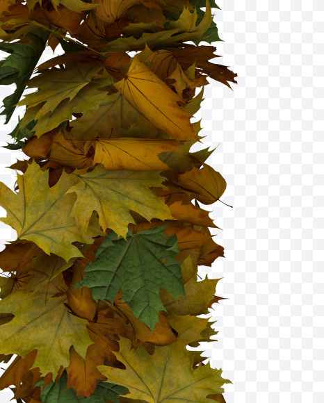 Letter G from Text Made Out Of Autumn Leafe Typeface on Yellow Images Creative Fonts - S73501