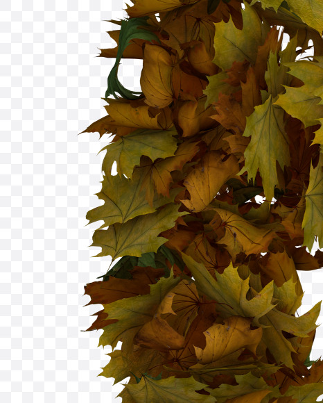 Letter H from Text Made Out Of Autumn Leafe Typeface on Yellow Images Creative Fonts - S73503