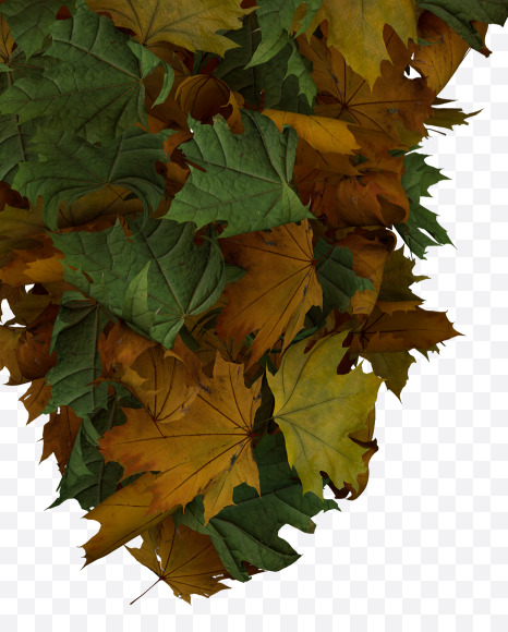 Letter W from Text Made Out Of Autumn Leafe Typeface on Yellow Images Creative Fonts - S73522