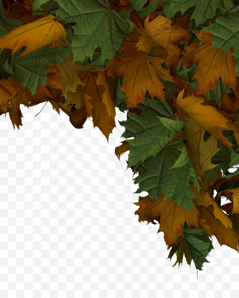 4 from Text Made Out Of Autumn Leafe Typeface on Yellow Images Creative Fonts - S73532