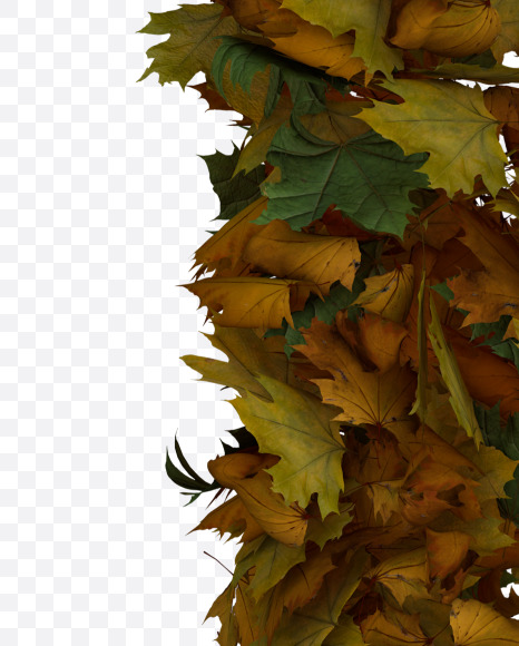 Letter K from Text Made Out Of Autumn Leafe Typeface on Yellow Images Creative Fonts - S73507