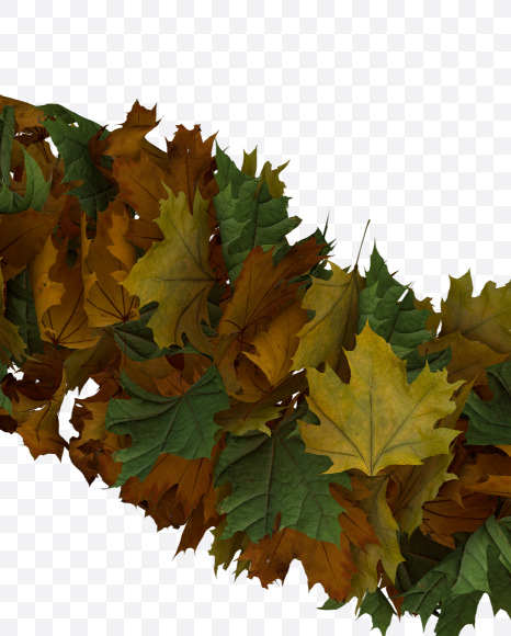 symbols from Text Made Out Of Autumn Leafe Typeface on Yellow Images Creative Fonts - S73527