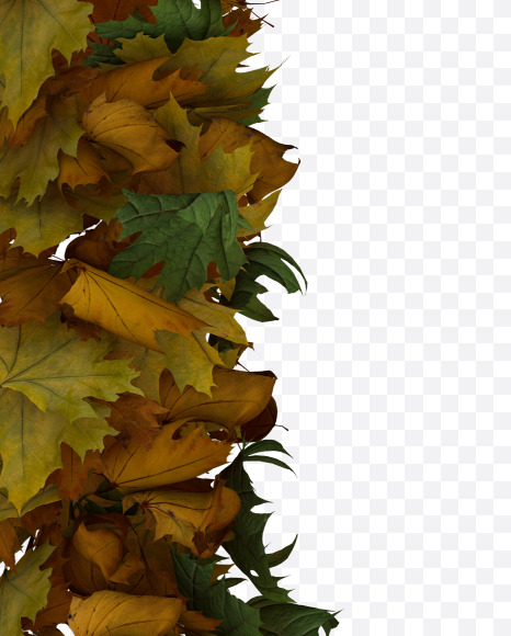 1 from Text Made Out Of Autumn Leafe Typeface on Yellow Images Creative Fonts - S73529