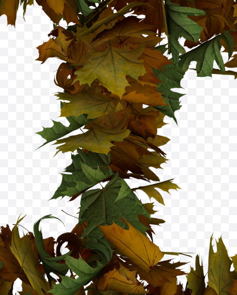 USD from Text Made Out Of Autumn Leafe Typeface on Yellow Images Creative Fonts - S73520