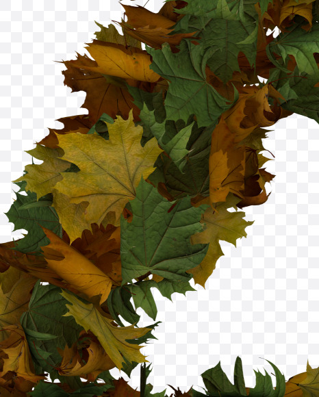 2 from Text Made Out Of Autumn Leafe Typeface on Yellow Images Creative Fonts - S73530