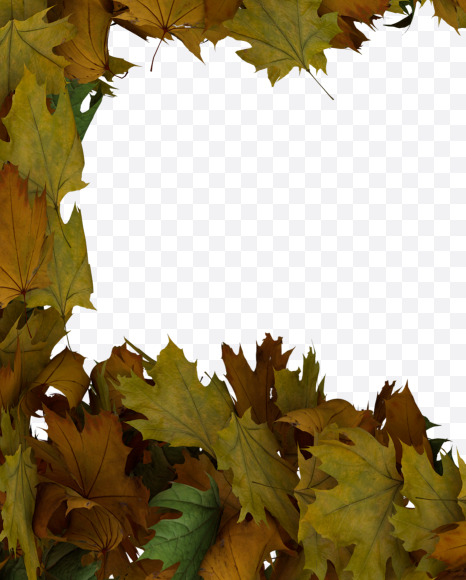 5 from Text Made Out Of Autumn Leafe Typeface on Yellow Images Creative Fonts - S73533