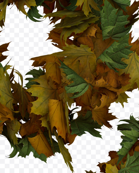 Percent from Text Made Out Of Autumn Leafe Typeface on Yellow Images Creative Fonts - S73513