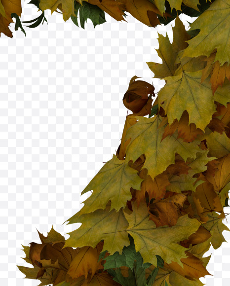 Letter Z from Text Made Out Of Autumn Leafe Typeface on Yellow Images Creative Fonts - S73526