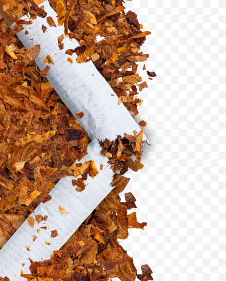 1 from Numbers and letters made of cigarettes on Yellow Images Creative Fonts - S74151