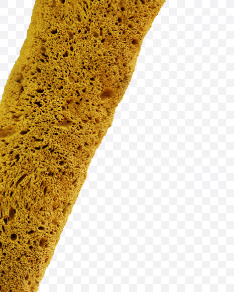 7 from Yellow sponge alphabet on Yellow Images Creative Fonts - S74250
