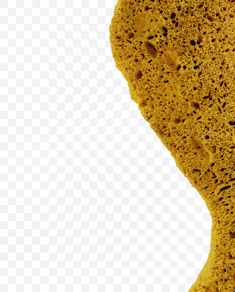 Letter S from Yellow sponge alphabet on Yellow Images Creative Fonts - S74235