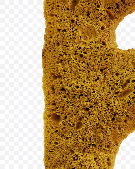 Letter F from Yellow sponge alphabet on Yellow Images Creative Fonts - S74222