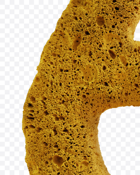 6 from Yellow sponge alphabet on Yellow Images Creative Fonts - S74249