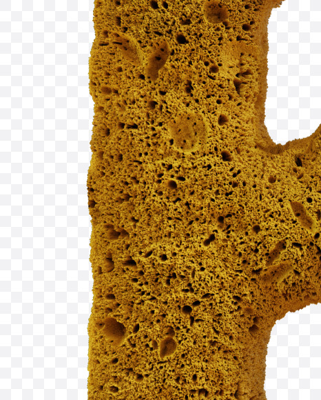 Letter B from Yellow sponge alphabet on Yellow Images Creative Fonts - S74218